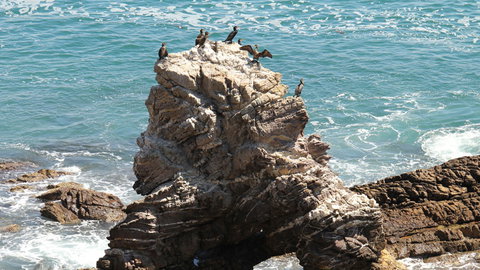 Ben Boyd National Park - Attractions Sydney 2