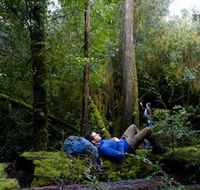 The Tarkine Drive - Attractions Sydney