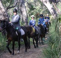 Mirravale Horse Riding School - Attractions Sydney