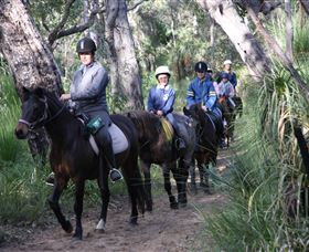 Mirravale Horse Riding School - Attractions Sydney 0