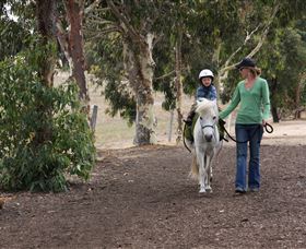 Mirravale Horse Riding School - Attractions Sydney 2