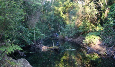 Nadgee Nature Reserve - Attractions Sydney 2