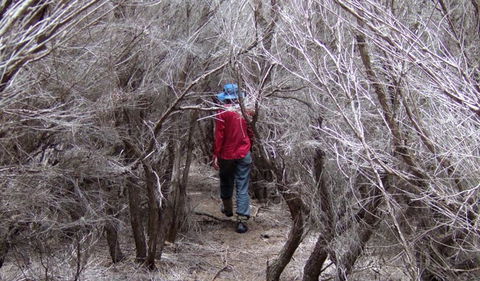 Nadgee Nature Reserve - Attractions Sydney 3