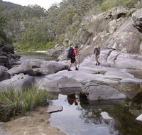 Nadgee Wilderness Walk - Attractions Sydney