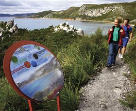 Rocky Cape National Park - Attractions Sydney 0