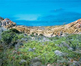 Rocky Cape National Park - Attractions Sydney 3