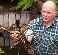 Lobster Ponds - Attractions Sydney