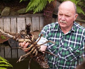 Lobster Ponds - Attractions Sydney 0