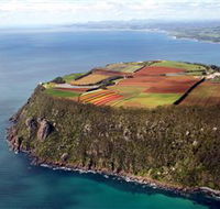 Table Cape - Attractions Sydney