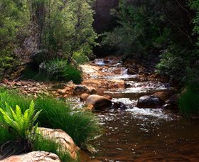Hellyer Gorge - Attractions Sydney 1