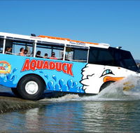 Aquaduck Safaris