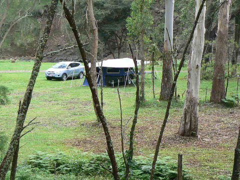 Goomburra Forest Retreat - Attractions Sydney 2