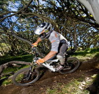 All Terrain Cycles - Attractions Sydney