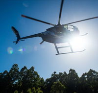 Tall Timbers Adventure Tours - Attractions Sydney