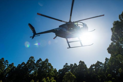 Tall Timbers Adventure Tours - Attractions Sydney 3