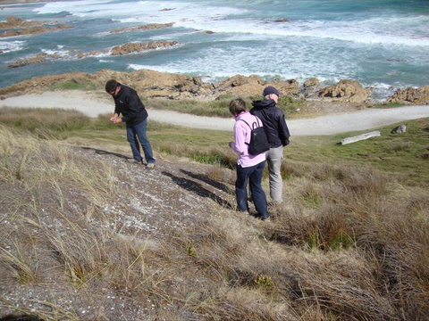 Tall Timbers Adventure Tours - Attractions Sydney 12