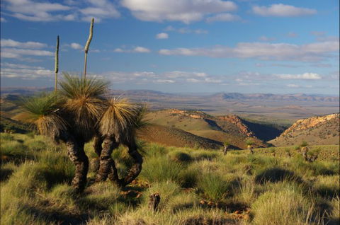4WD Aussie Outback Adventures - Attractions Sydney 1
