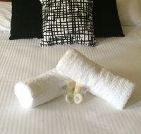 Town House Motor Inn - Attractions Sydney