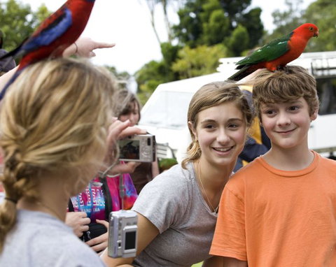 Southern Cross Day Tours Gold Coast - Attractions Sydney 21