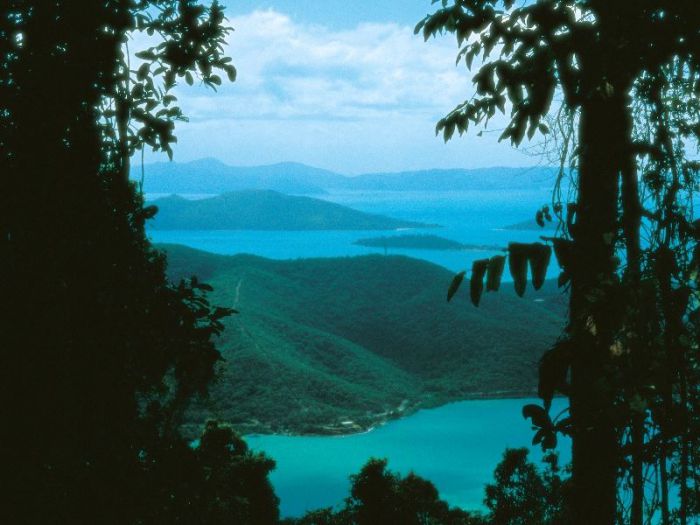Woodwark QLD Attractions Sydney