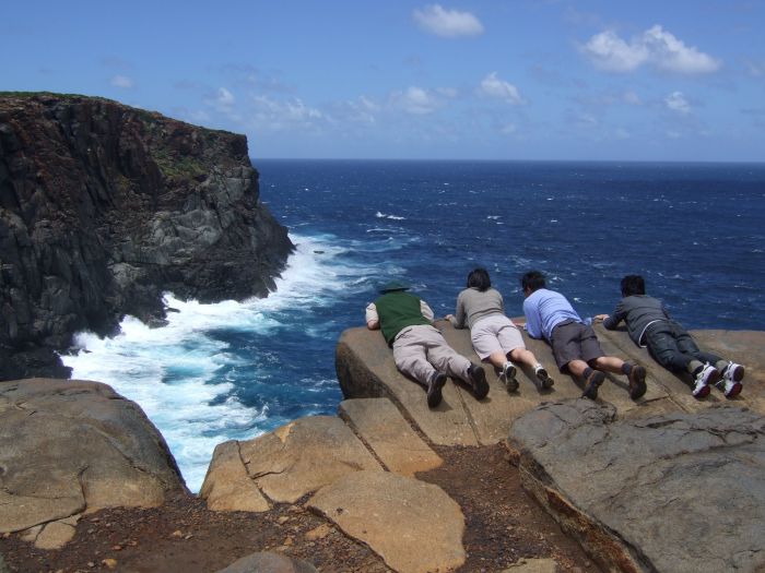  Attractions Sydney
