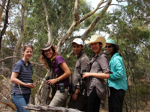 Echidna Walkabout Nature Tours - Attractions Sydney 2