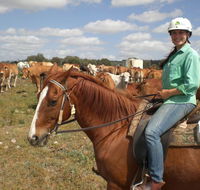Myella Farm Stay Tours - Attractions Sydney