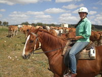 Book Baralaba Accommodation Vacations Attractions Sydney Attractions Sydney