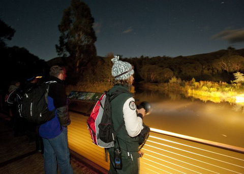 Naturewise At Tidbinbilla - Attractions Sydney 1