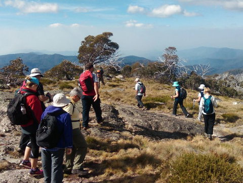 Hedonistic Hiking - Attractions Sydney 0