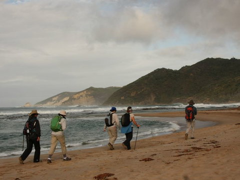 Hedonistic Hiking - Attractions Sydney 2