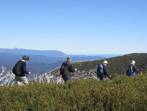 Hedonistic Hiking - Attractions Sydney 3