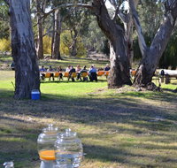 Glendale Citrus  Hazelnut Orchard - Attractions Sydney