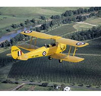 Royal Newcastle Aero Club - Attractions Sydney