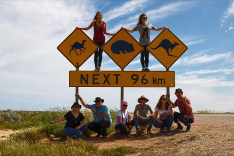 Nullarbor Traveller - Attractions Sydney 32