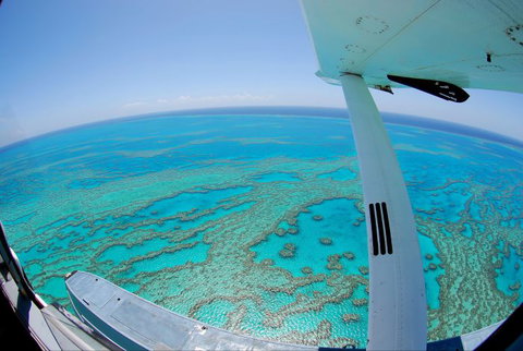 Air Whitsunday Seaplanes - Attractions Sydney 2