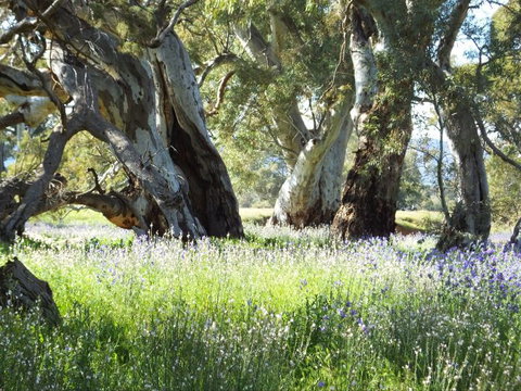 Aussie Heritage Tours - Attractions Sydney 3