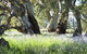 Aussie Heritage Tours - thumb 4