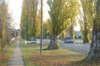 Taralga - Self Guided Heritage Walking Tours