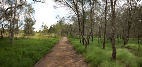 Billai Dhagun Circuit (Place Of She-Oaks) - Attractions Sydney 0