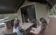 Darlington Beach NRMA Holiday Park - thumb 2