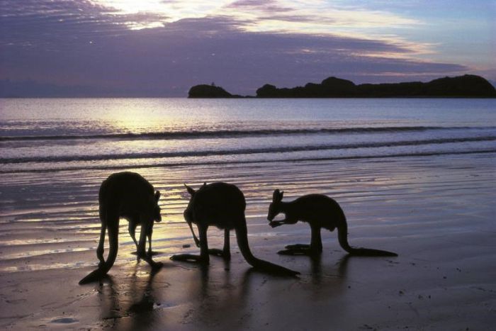 Seaforth QLD Attractions Sydney