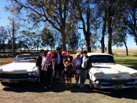 Hunter Valley Cadillacs - Attractions Sydney 1