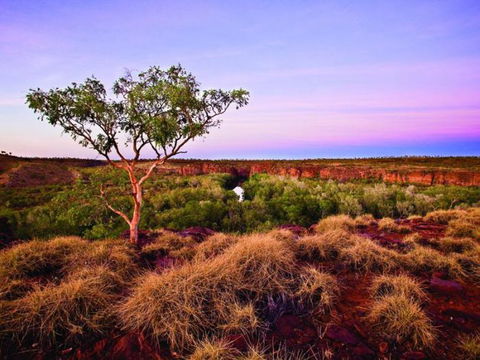 Island Stack, Boodjamulla (Lawn Hill) National Park - Attractions Sydney 0