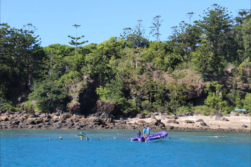 Jubilee Pocket QLD Attractions Sydney