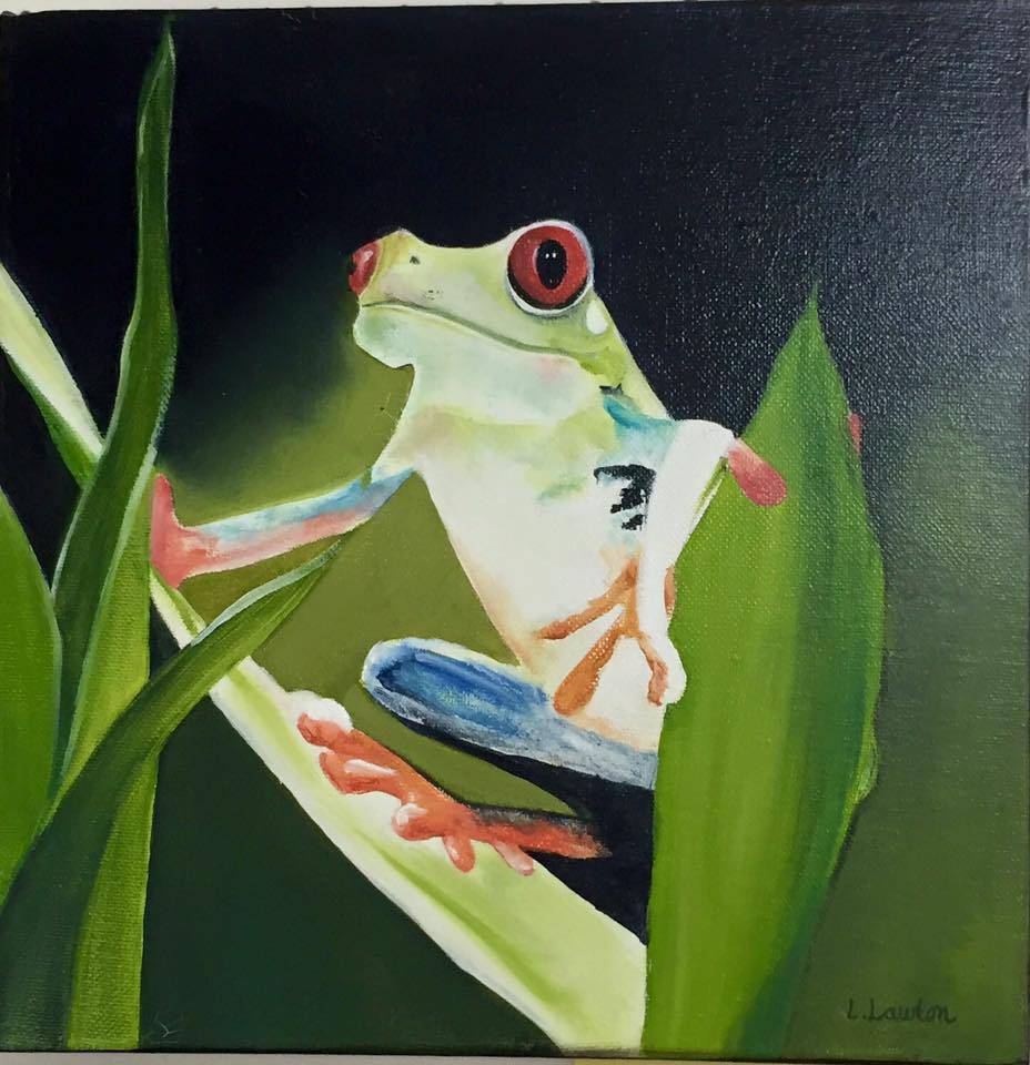 Gorokan NSW Attractions Sydney