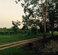 Brierley Wines - Attractions Sydney