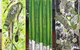 Ngarru Gallery Indigenous Fine Art - thumb 2