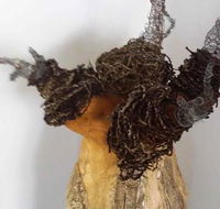 Caldera Wildscapes Gallery - Attractions Sydney
