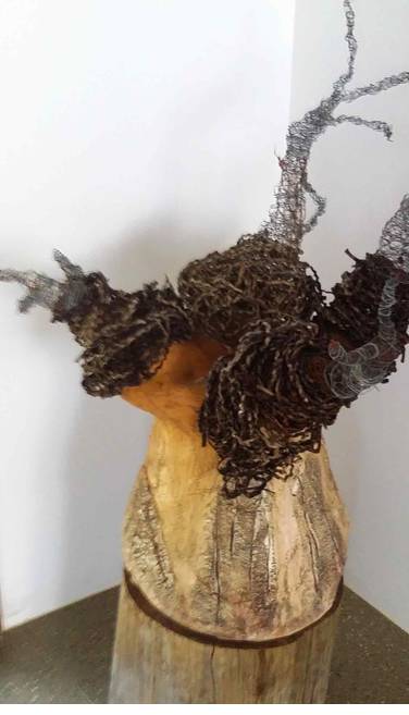 Caldera Wildscapes Gallery - Attractions Sydney 0